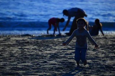 DSC_1227 (Large).JPG